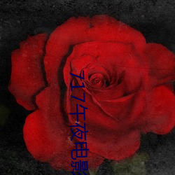717午夜电影理论片