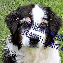 正能量网(wǎng)站(zhàn)你懂我意思你会回(huí)来感(gǎn)谢我的可(kě)以选择(zé)类形