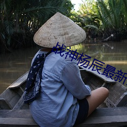 战神杨辰最新(新)章节