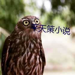 平天策小说