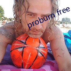 proburn free （东抄西袭）