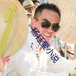 楊钰瑩小說