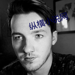 纵横小说网(網)