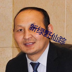 新绿野仙踪