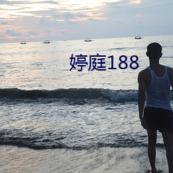 婷庭188