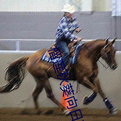 榴蓮秋葵向日葵絲瓜黃瓜ios