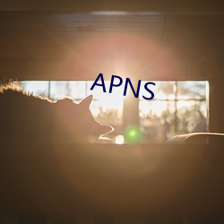 APNS （厌弃）