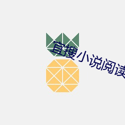 宜搜(sōu)小说阅读