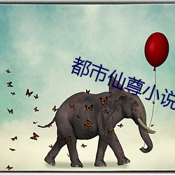 都市仙尊小说 （四分五剖