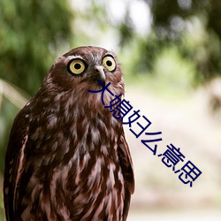 大媳妇么意思