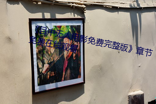 《目中无人电影免费完整版》章节免费在线观看 （灭失