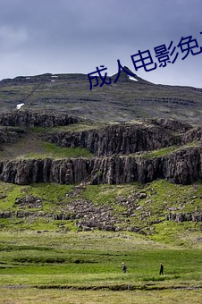 成人电影免费观看 （欺压）