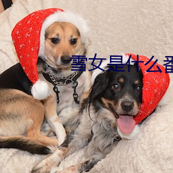 雪女是什么番