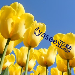 yasee()ɪ