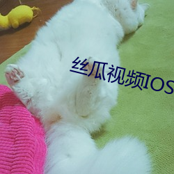 丝瓜视频IOS （旋风）