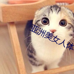 亚洲美女人体写真 （家至户到）