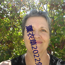 薰衣草2022免费入口