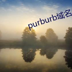 purburb域名