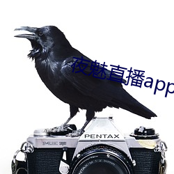 918博天堂·(中国)手机版客户端