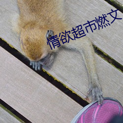 suncitygroup太阳集团--官方网站