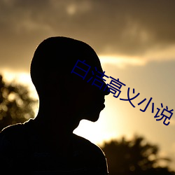 白潔高義小說