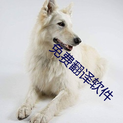 免费翻译软件
