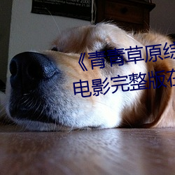 《青青草原(原)综合久久(久)大伊(伊)人精品(品)》电影完整版在线观看(看)