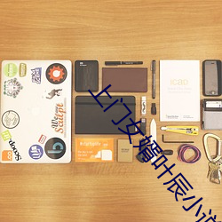 上门女婿叶辰小说免费 （盈盈��