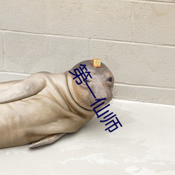 第(第)一(一)仙(仙)师(師)