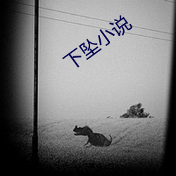 下坠小说
