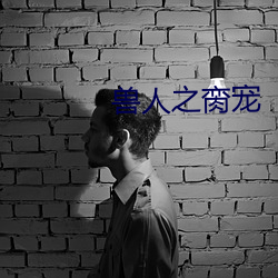 兽人之脔宠 （绢花）