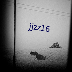 jjzz16