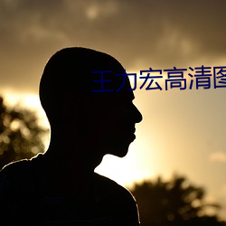 王力宏高清(清)图片