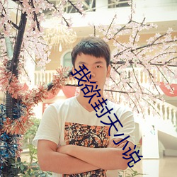 我欲封天小說
