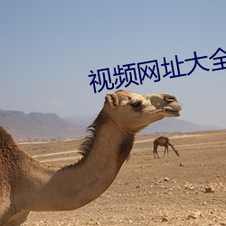 金年会(中国)官方网站