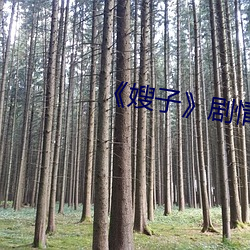 《嫂子》剧情
