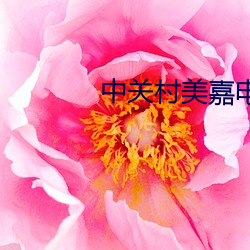 中关村(村)美嘉电(電)影院(院)