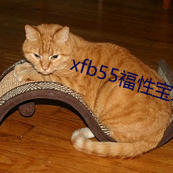 xfb55福性寶地址