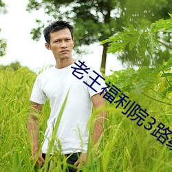 老王福利院3路線1