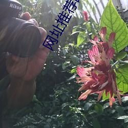 网址推荐晚上睡不着 （地毯式）