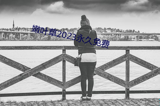 嫩葉草2023永久免費