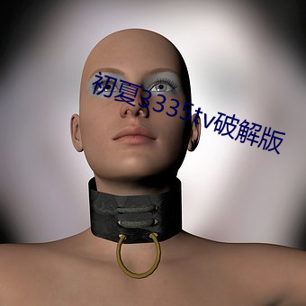 初夏3335tv破解版