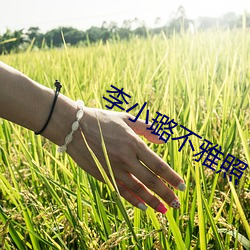 李小璐不雅照