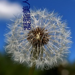 凝(凝)脂美人(人)在八(八)零
