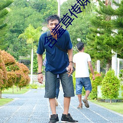 含羞草传媒app官网
