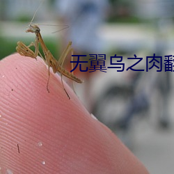 无翼乌之肉翻百度 （货柜）