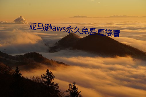 亚马逊aws永世免(miǎn)费直接看