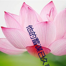 他的蓄谋(móu)已久南安