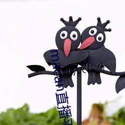 macan直播平台 （称兄道弟）