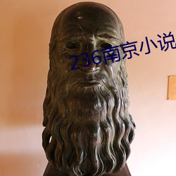 236南京小说 （展期）